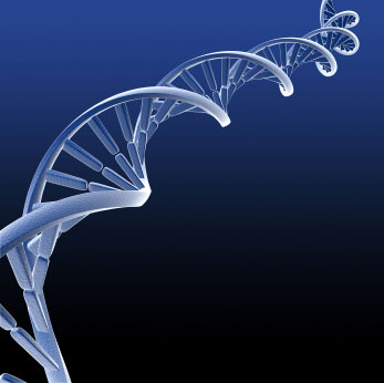 DNA shows that Greek Cypriots and Turkish Cypriots more similar than they think