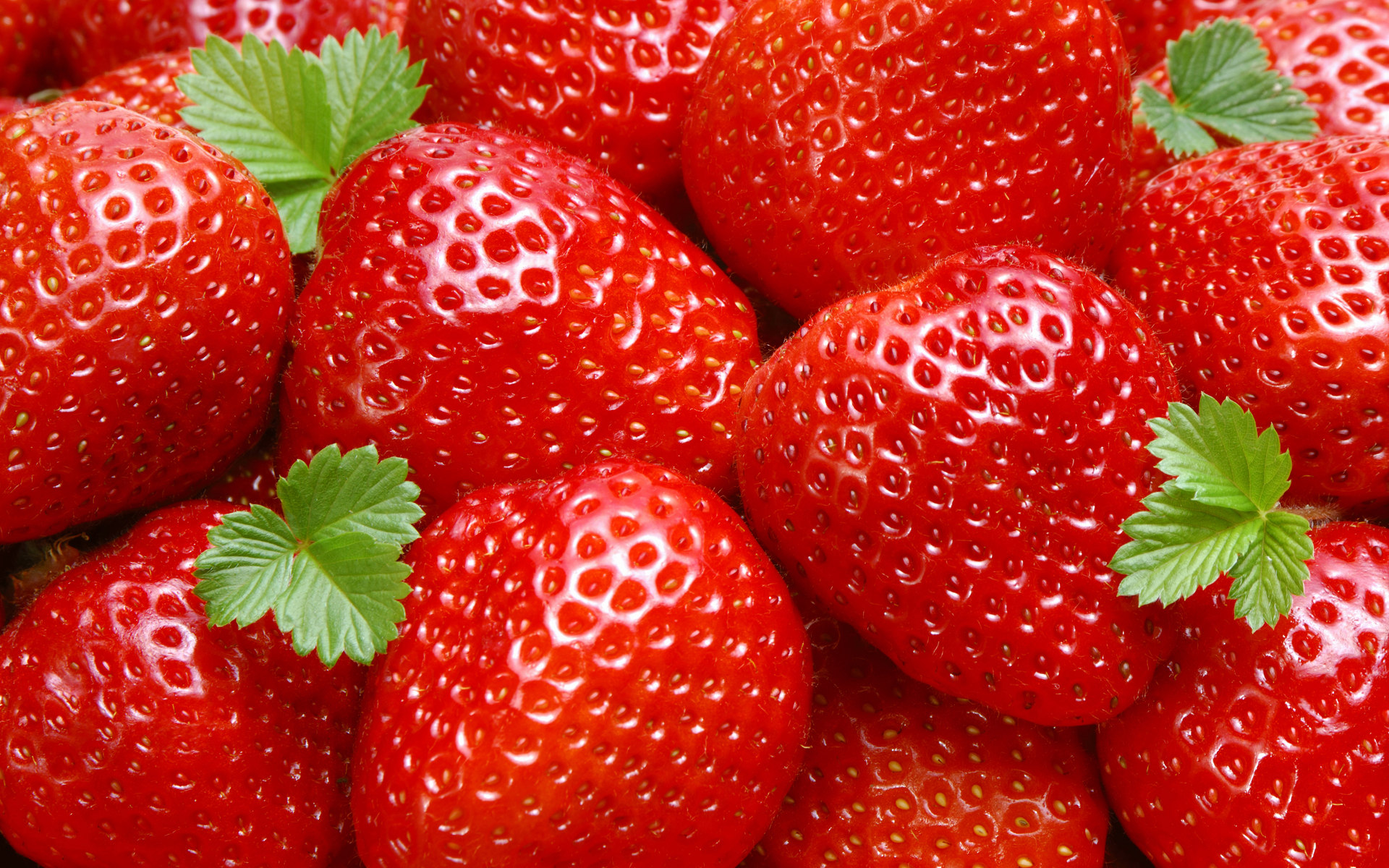 Free strawberries at the annual Strawberry Festival