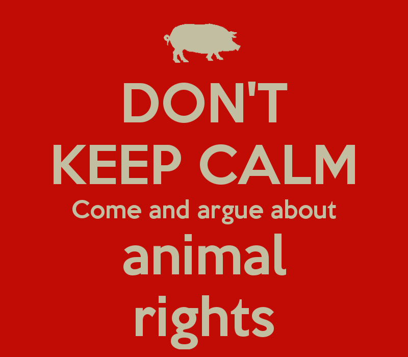 Animal Rights Political Party to be founded in Cyprus
