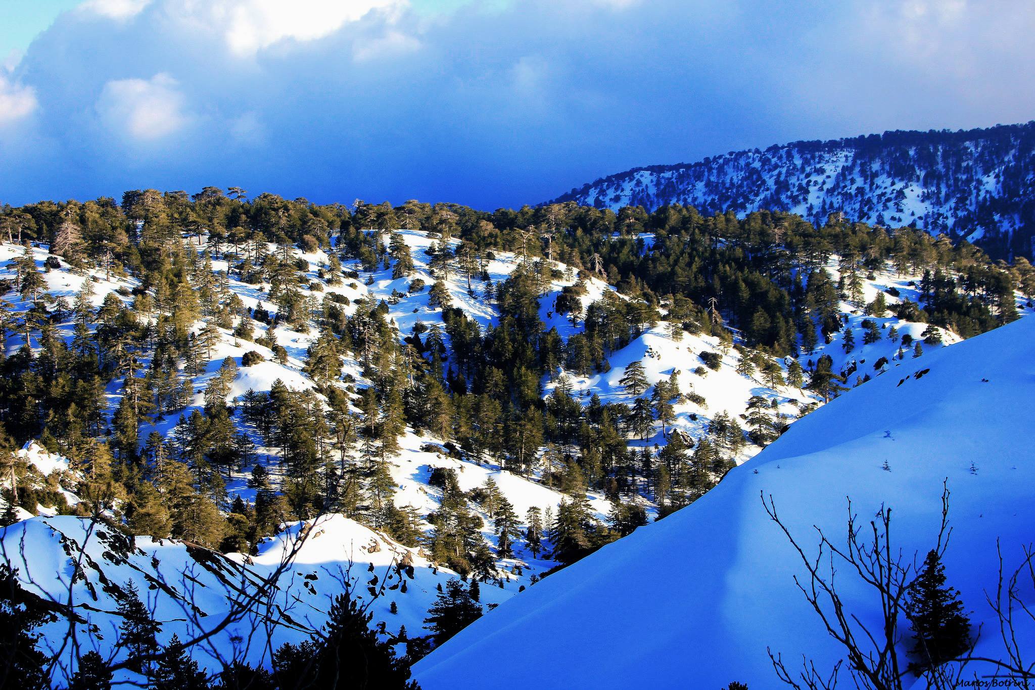 Cyprus 2015 in Winter colours