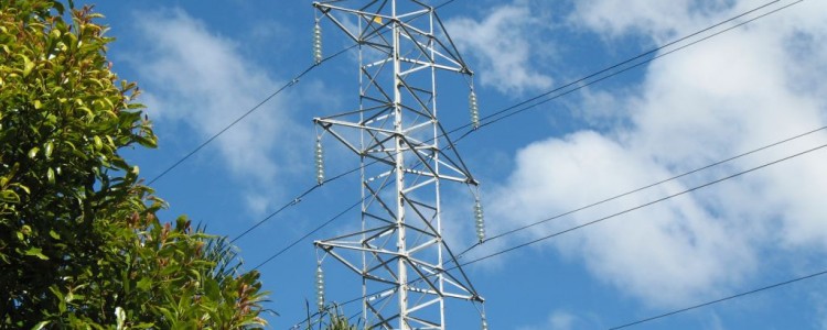 Electric power pylons