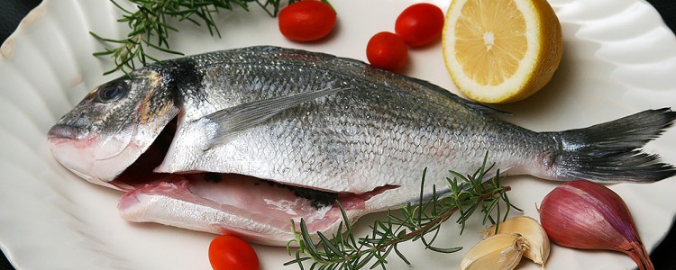 Fish Sea Bream in plate