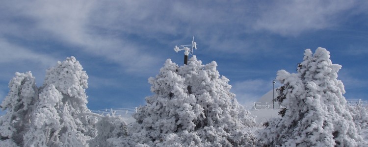 Snow at Troodos - winter